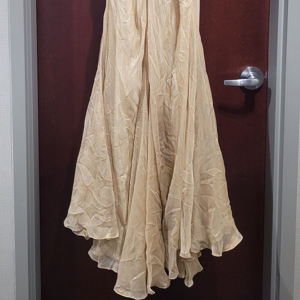 Blush Prom 9368 Size 2 Champagne Prom Dress - Picture 10 of 12